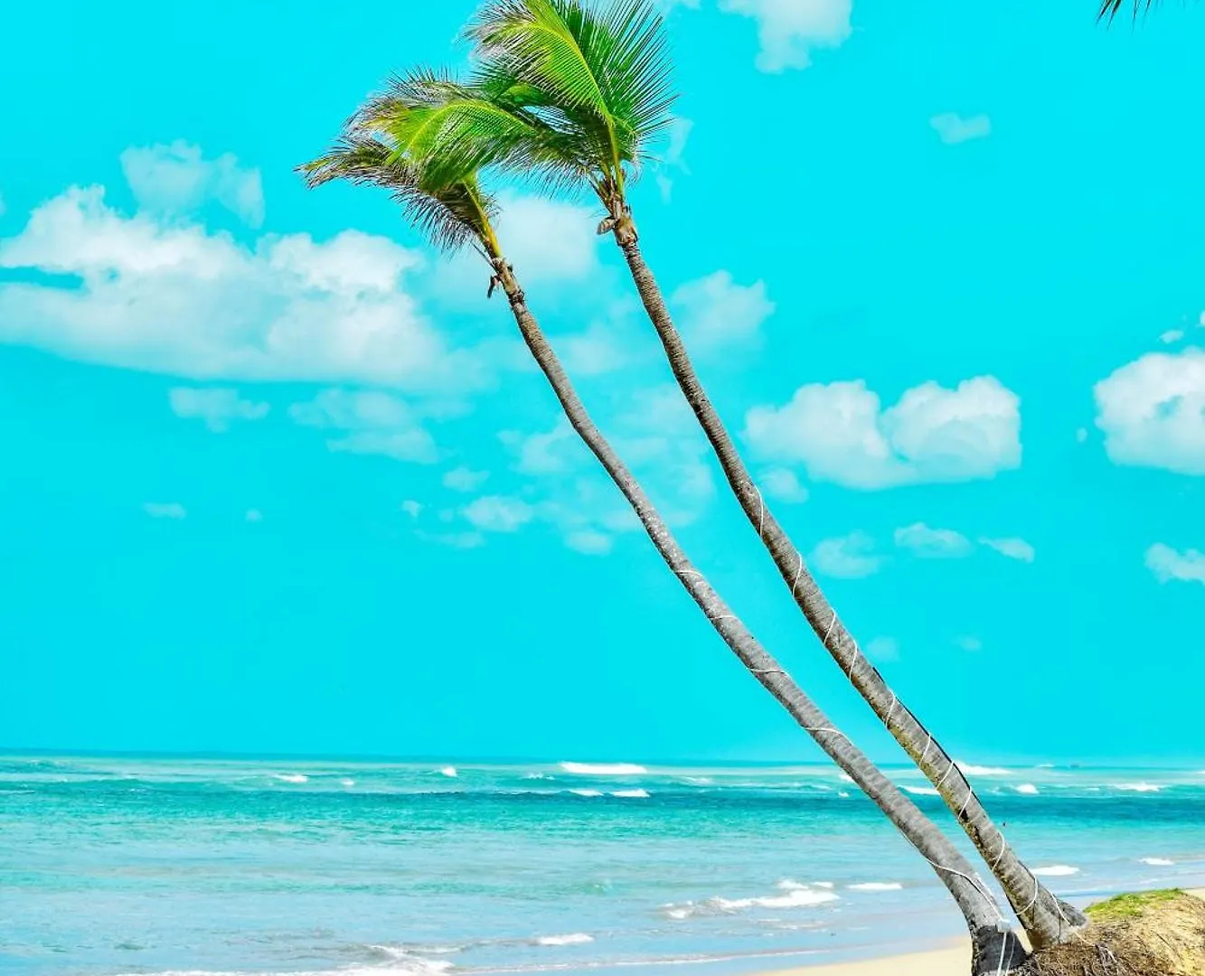 פונטה קאנה Playa Palmera Beach Resort מלון דירות פונטה קאנה